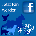Jetzt Fan werden bei Facebook - tierspiegel.de