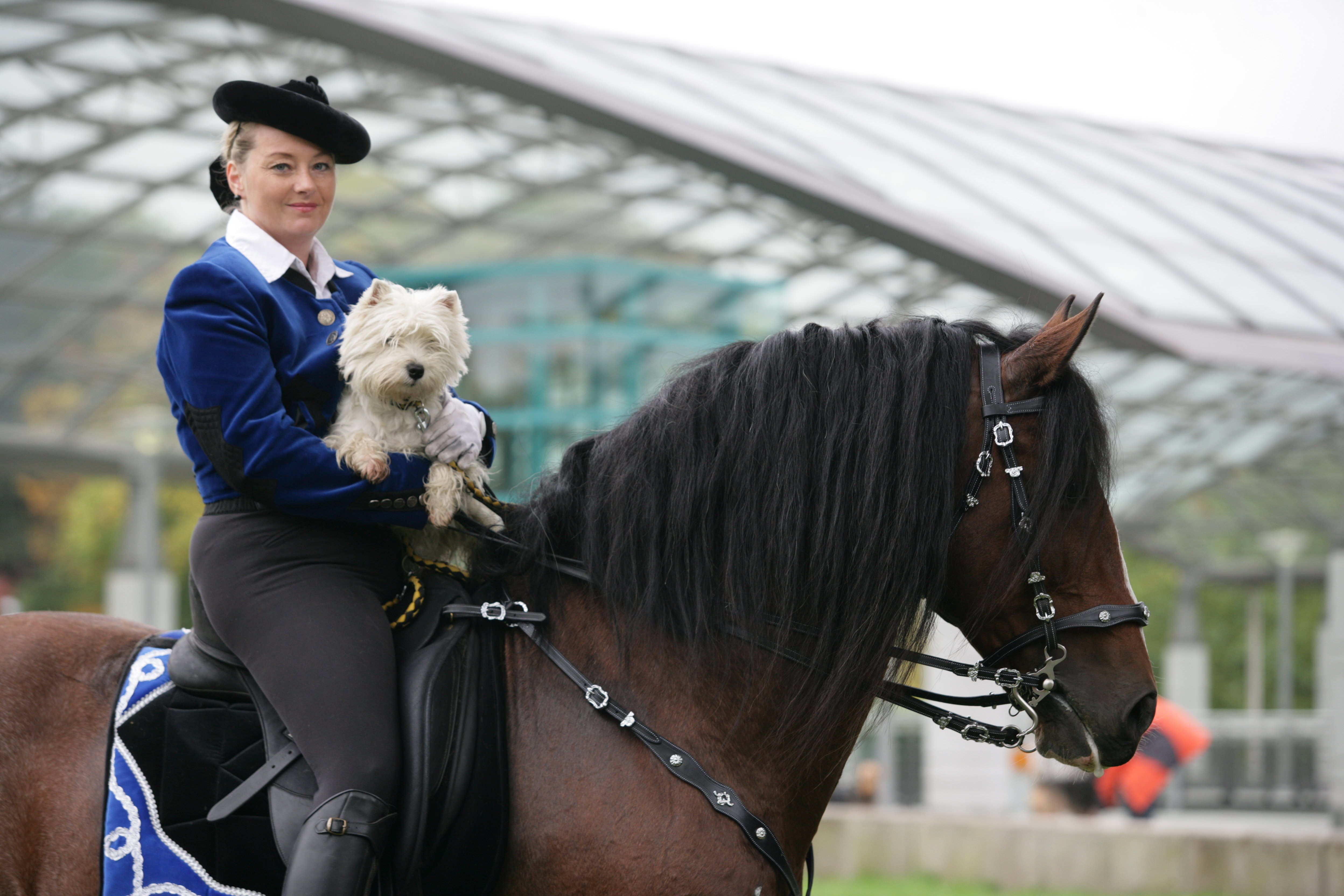 Erfolgreiche Hund & Pferd 2024